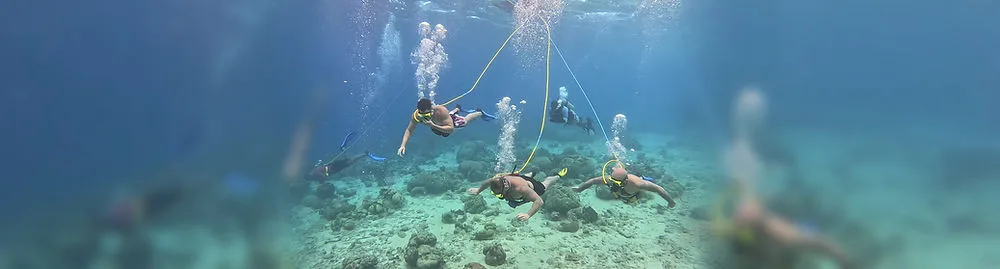 Buzos con mangueras de aire sobre un fondo marino rocoso