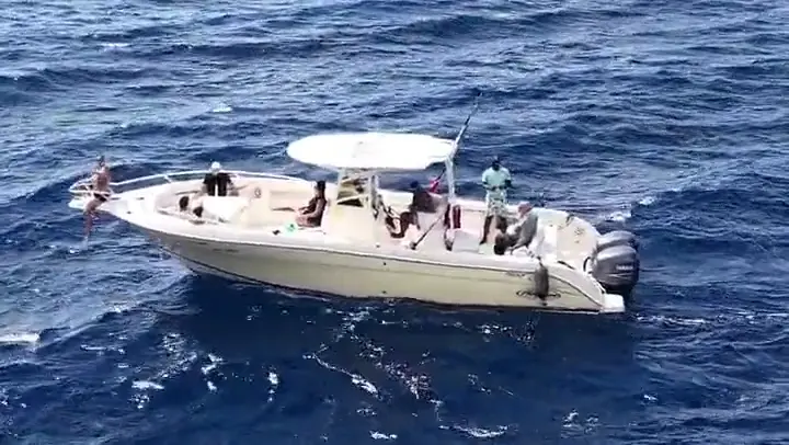 Barco de pesca blanco en el agua