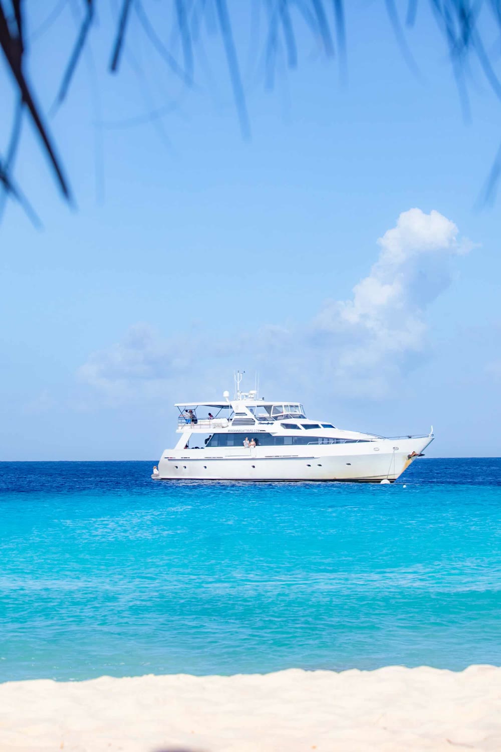 Klein Curaçao Supreme – Miss Ann — product listing photograph