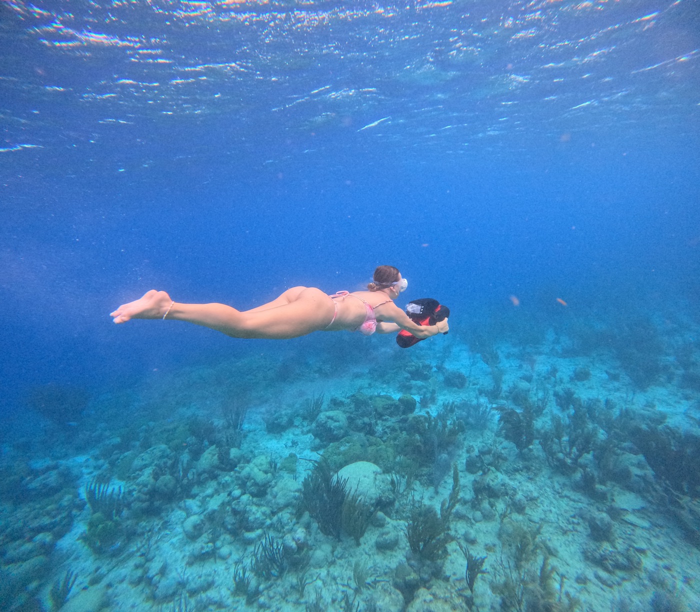 Swimmer moving through blue water above a reef