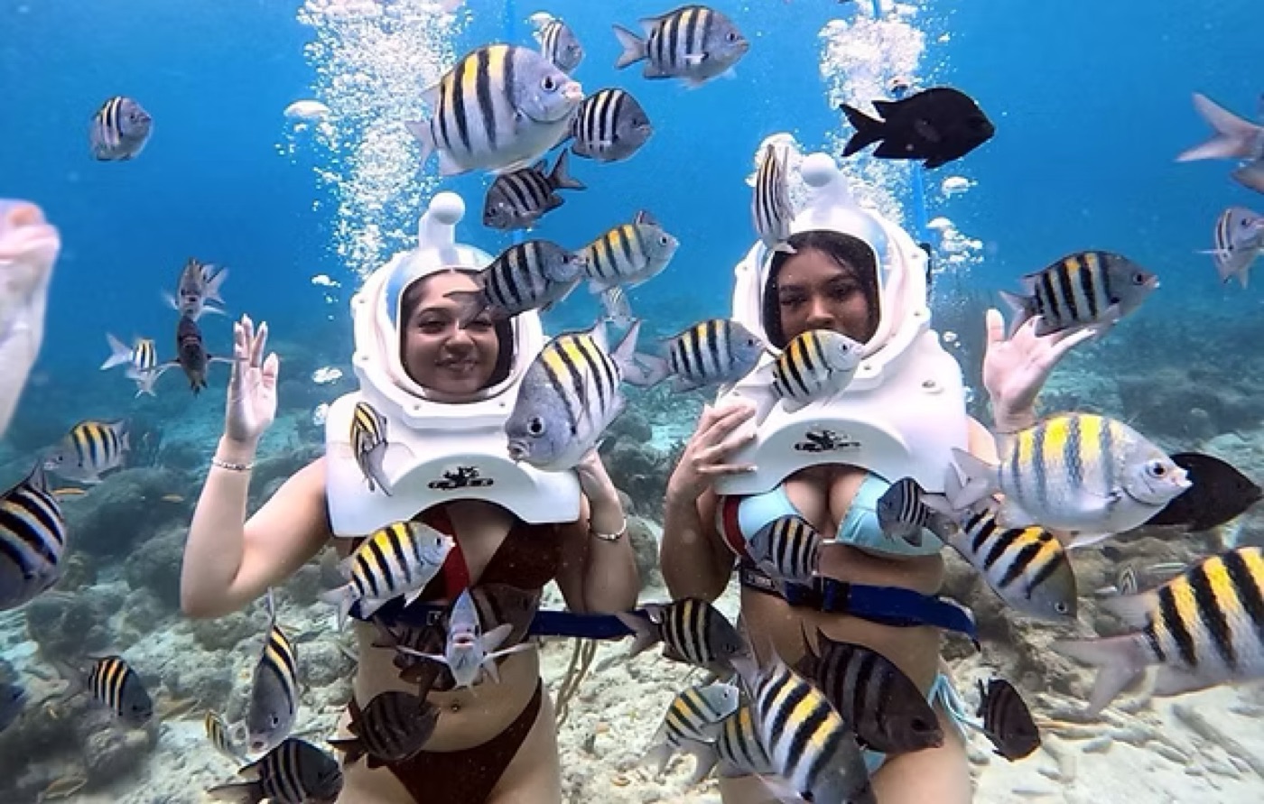 Two Sea TREK participants wearing helmets with fish around them
