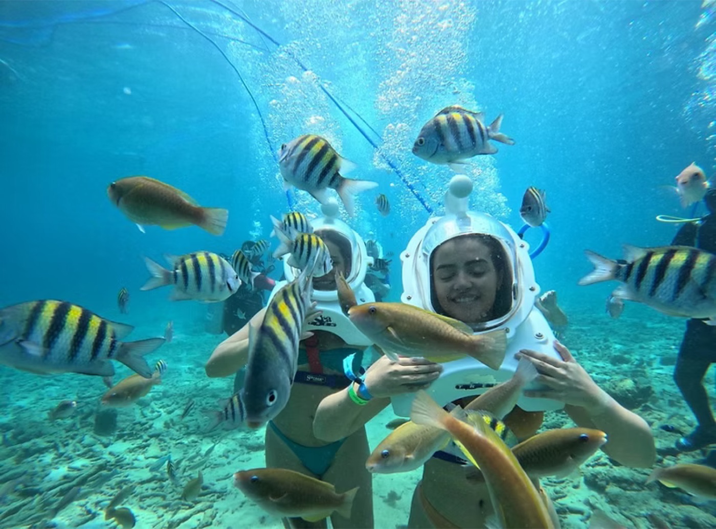 Sea TREK participant in a helmet surrounded by fish