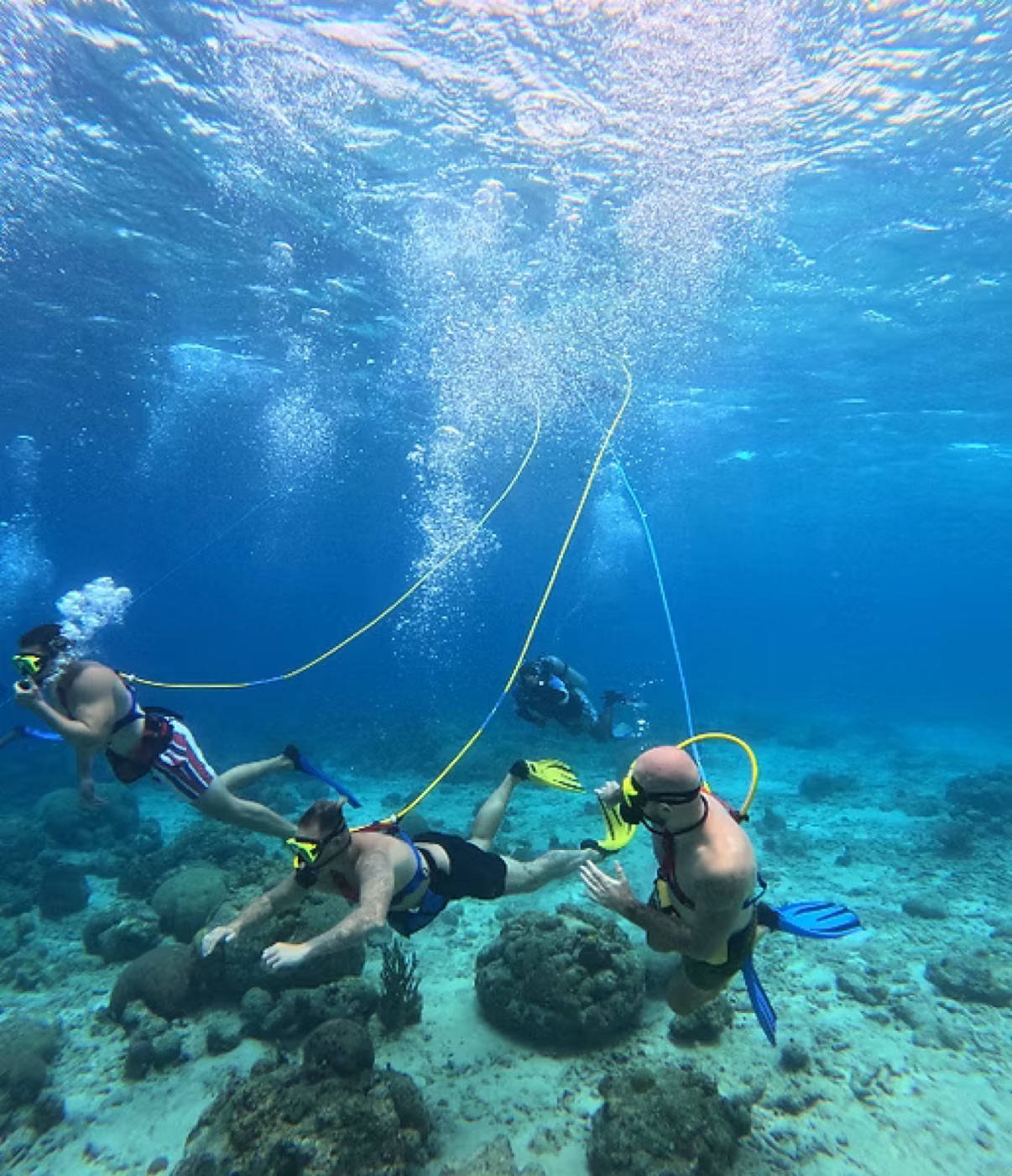 SNUBA divers above the reef with air hoses extending to the surface